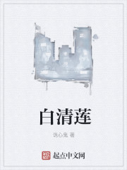 穿越市井之妃要当家