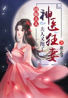 神医狂妻:国师大人,夫人又跑了