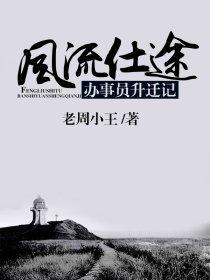 风流仕途:办事员升迁记