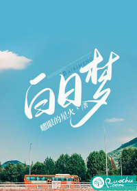 白日梦小说