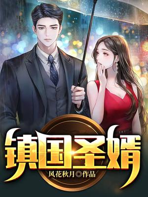 镇国圣婿
