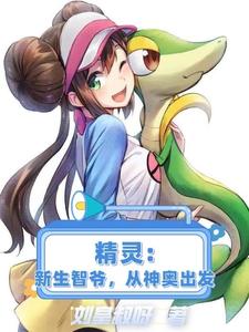 精灵:新生智爷,从神奥出发