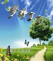 梦神了了