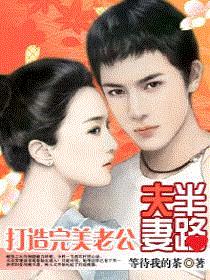 半路夫妻