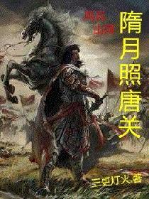 隋月照唐关