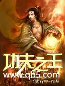 功夫之王