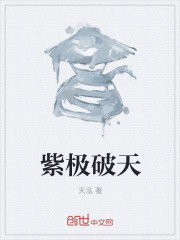 紫极破天