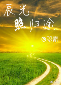 辰光照归途