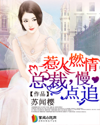 惹火燃情：总裁，慢点追